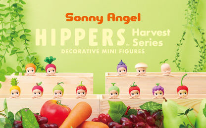 Hippers Harvest Series